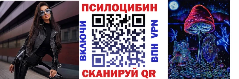 где продают   Волжск  Галлюциногенные грибы Psilocybe 